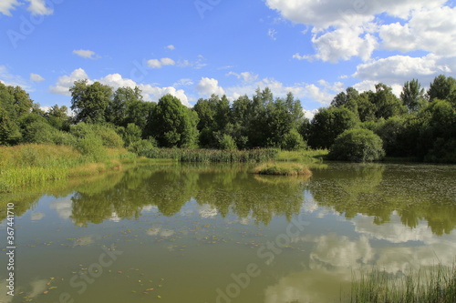 Summer landscape with a small pond and clouds reflections in it