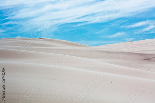 Fototapeta Naklejka Na Ścianę i Meble -  desert