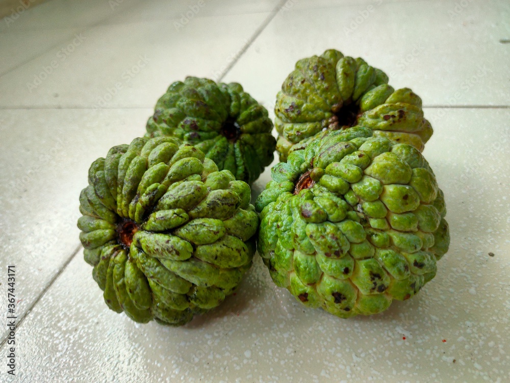 Fototapeta premium Custard apple