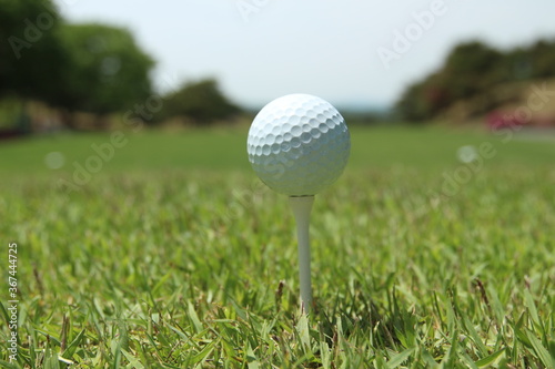 a golf ball on a golf course