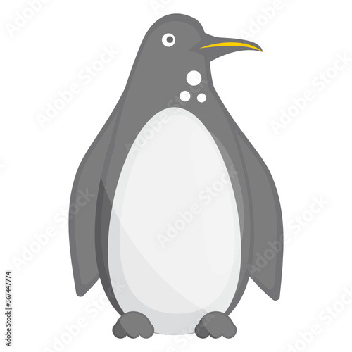 
Icon of a large flightless seabird, penguin vector 
