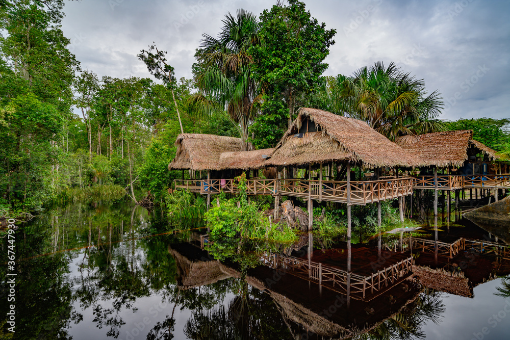 Obraz premium Amazon rain forest in a perfect and lovely sunny day