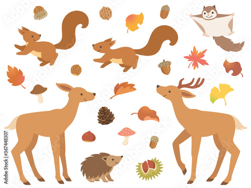 森の動物と秋のアイコンセット © Nora Hachio