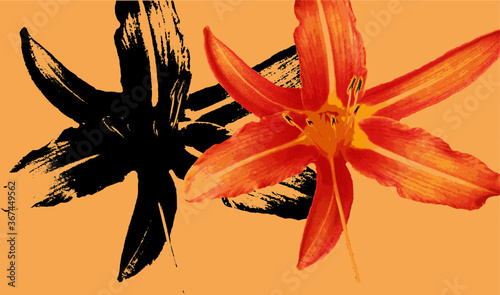 Blume Muster Lilie Orange