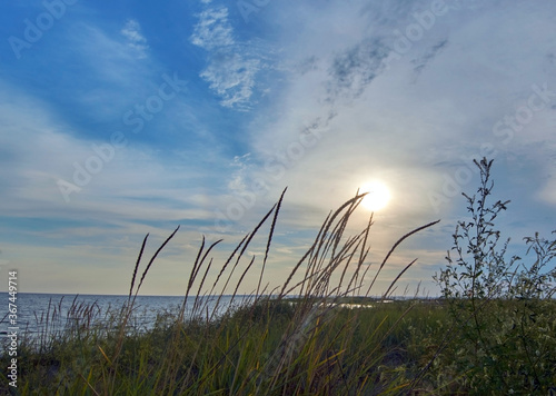 sunset on the sea on a summer day steppe grass and ears sway in the foreground