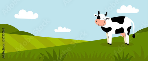A cute white spotted cow stands on a green meadow. Dairy products. Farm animals. Summer panorama with a field. Place for your text. Flat cartoon color illustration