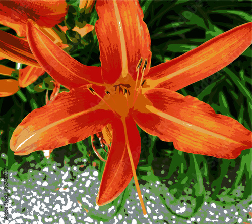 Blume Muster Lilie Orange