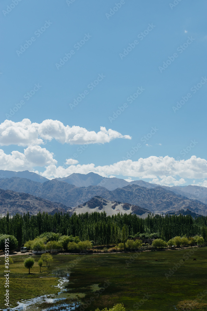 Ladakh landscape with arid mountains, grasslands, blue sky and a small creek Ladakh landscape with arid mountains, grasslands, blue sky and a small creek