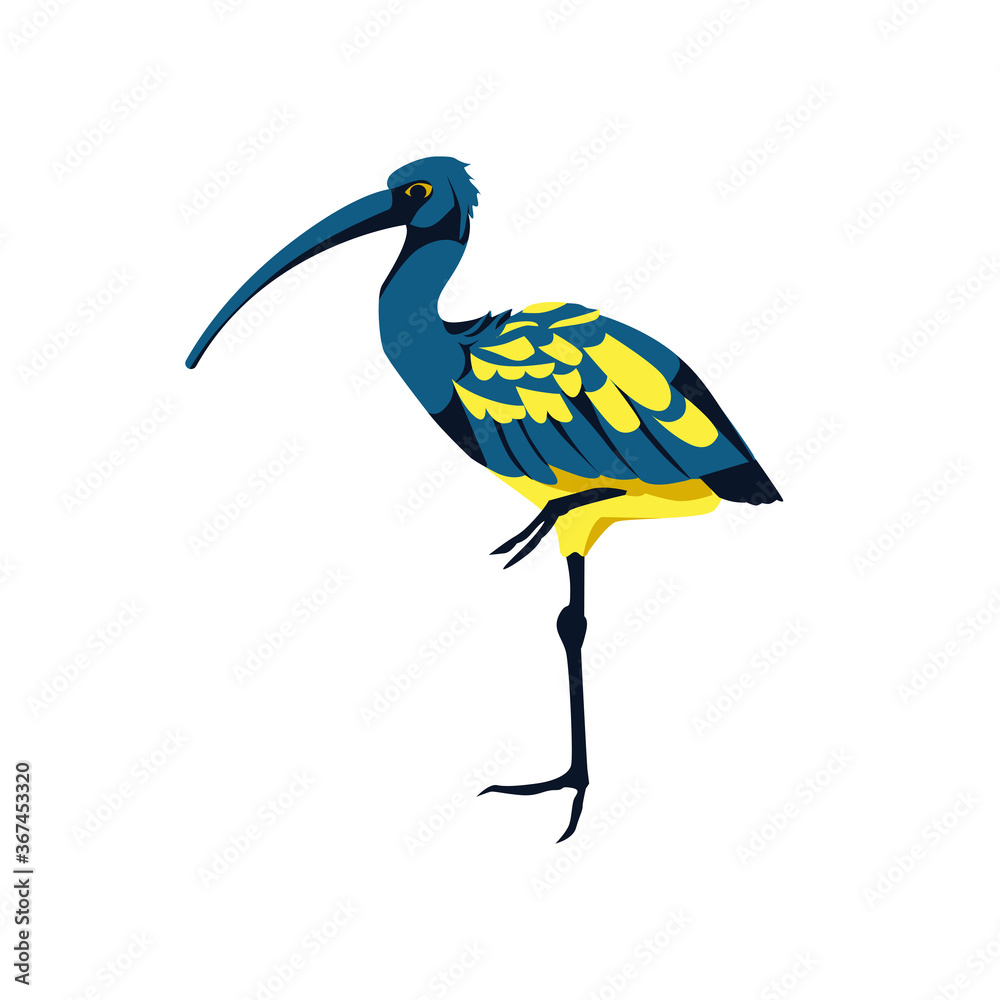 Obraz premium Beautiful tropical exotic bird. African nature wildlife design element. Bird with bright black and yellow feathers and wings cartoon vector illustration isolated on white background