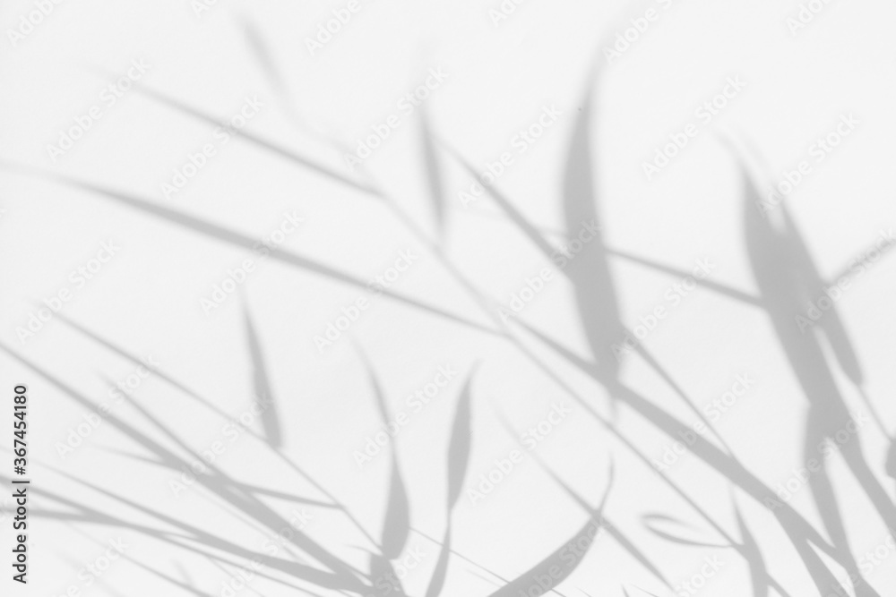 Overlay effect for photo. Blurred gray shadows of delicate grass on a white wall. Abstract neutral nature concept background. Space for text. Shadow for natural light effects. Overlay effect for photo. Blurred gray shadows of delicate grass on a white wall. Abstract neutral nature concept background. Space for text. Shadow for natural light effects.
