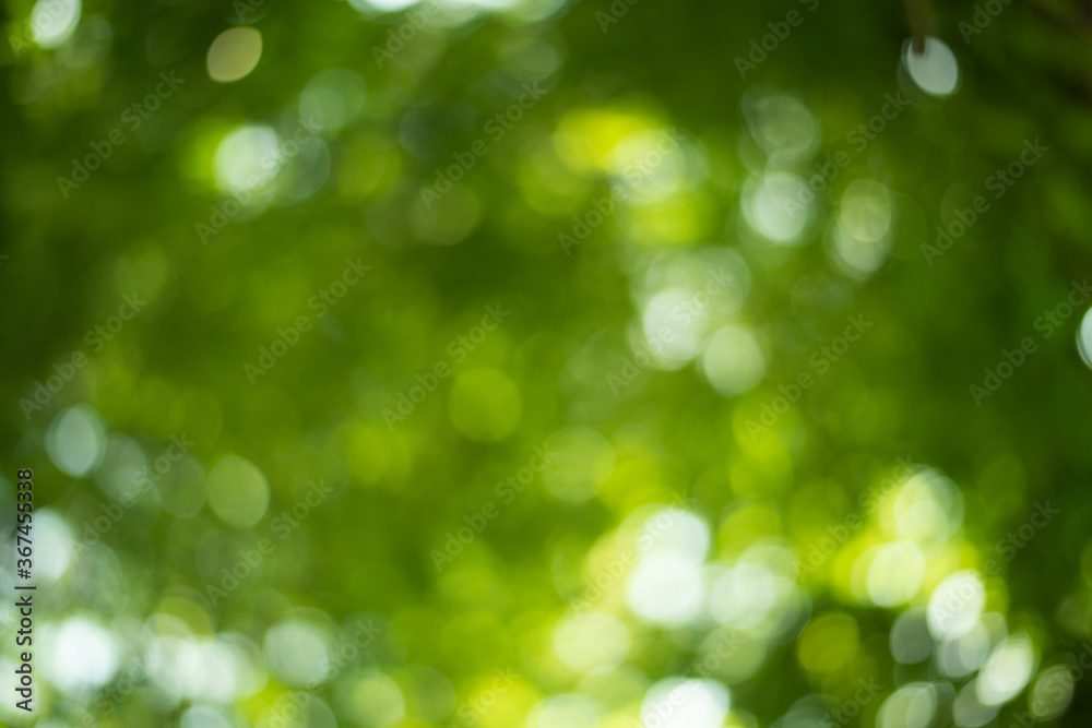 Obraz premium Green bokeh with wall paper.