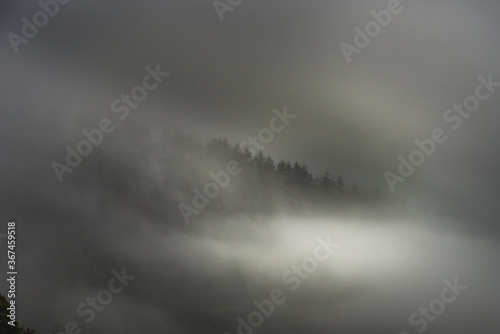 A slope full of trees rises in the background amidst the mist in a surreal atmosphere nerby Glencar lake conveying a dreamy haze, uncertain sensation and hypnagogic feeling - Glencar, Sligo, Ireland