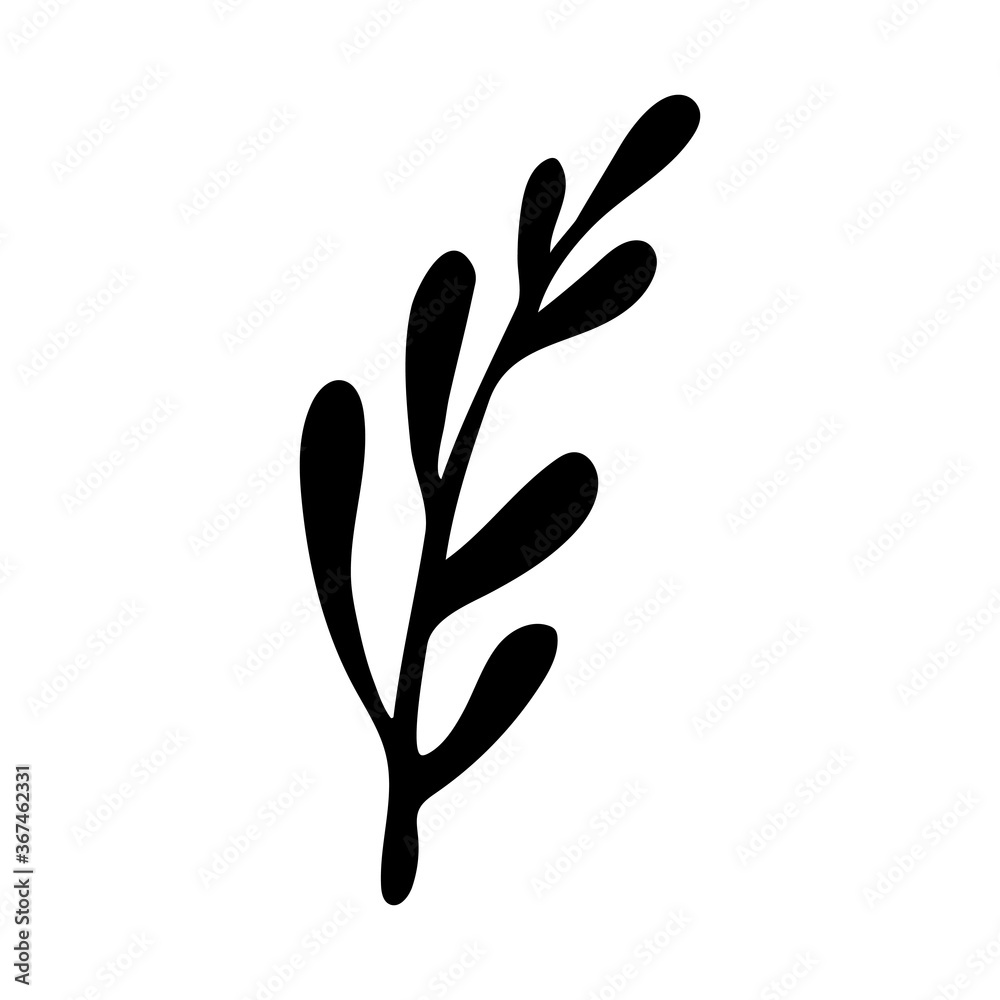 Vector doodle illustration of potherbs. Hand drawn healthy farm vegetable isolated on white background. Organic veggie grown in the garden.
