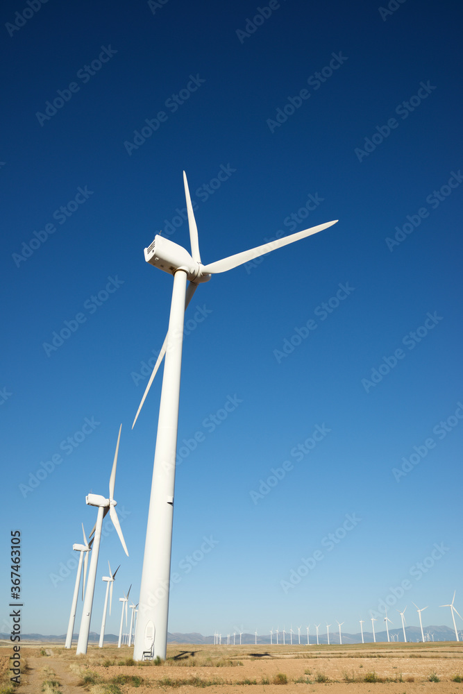 Sustainable wind energy concept Sustainable wind energy concept