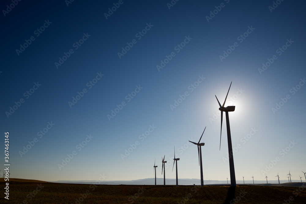 Obraz premium Sustainable wind energy