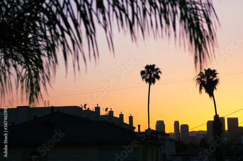 sunset over the city