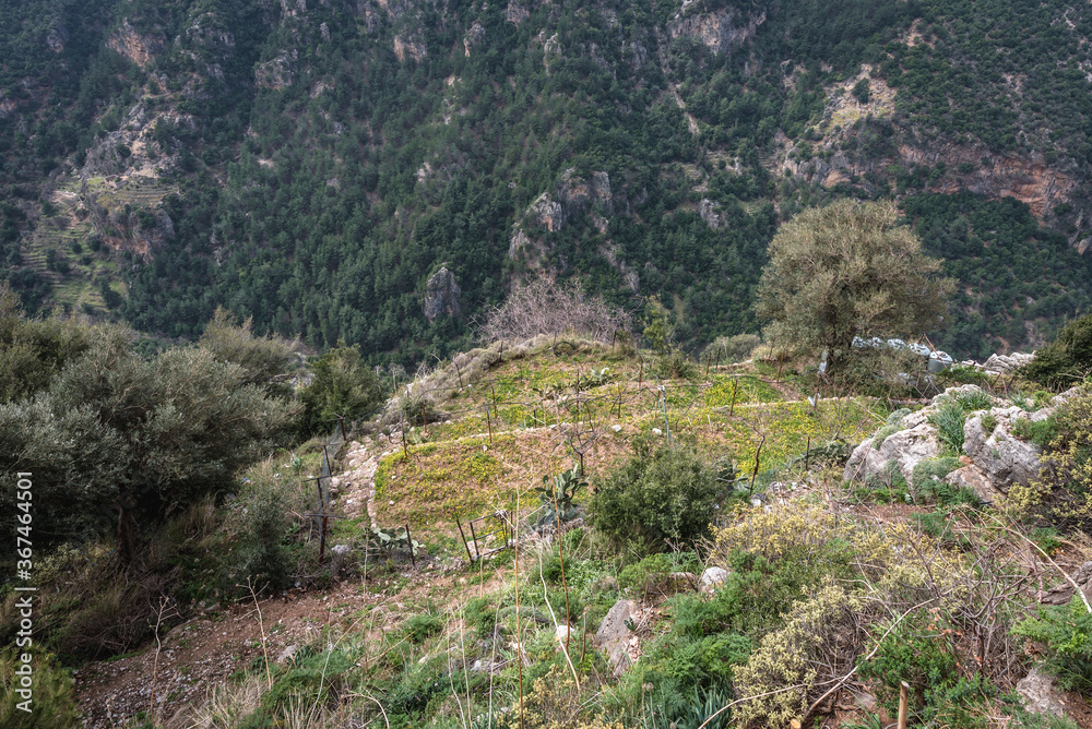 Garden in Monastery of Our Lady of Hawqa, nowdays a hermitage in Kadisha Valley also spelled as Qadisha in Lebanon Garden in Monastery of Our Lady of Hawqa, nowdays a hermitage in Kadisha Valley also spelled as Qadisha in Lebanon