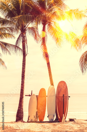 Fototapeta Naklejka Na Ścianę i Meble -  Surfboard and palm tree on beach background.