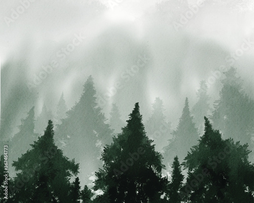 Greenery rainforest pine tree background