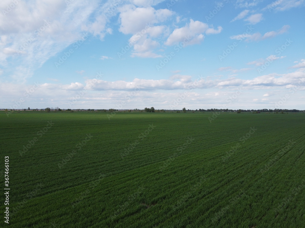 Fototapeta premium Blue sky over a green field, aerial view. Farmland landscape.
