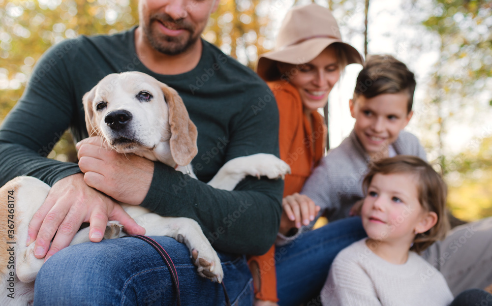 Family with small children and dog on a walk in autumn forest.