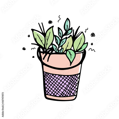 flowers in pot