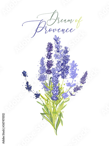 Lavender bouquet illustration wreath ith herbs and lettering. Watercolor outline vintage sketch on white background. Vector botanical paking or card design.