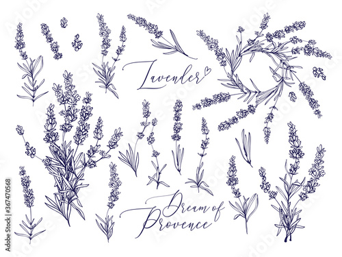 Canvas Print Black line lavender