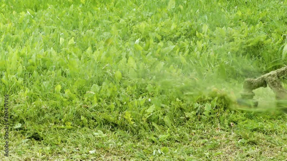 summer outdoors trimmer mows the grass summer outdoors trimmer mows the grass