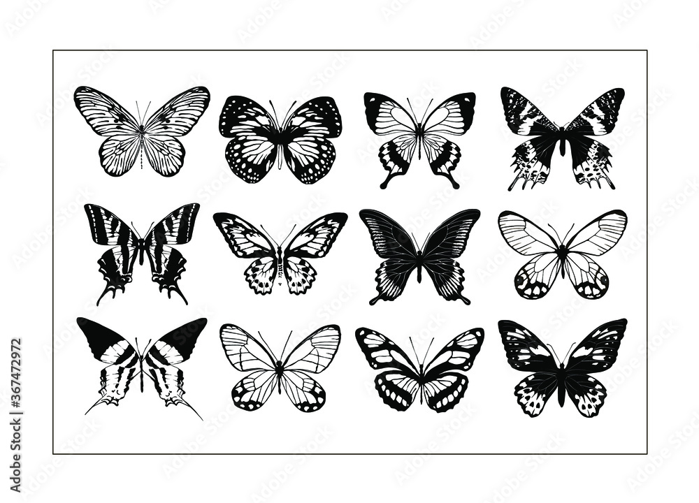 Set of 12 realistic black and white butterflies made in the same style ...