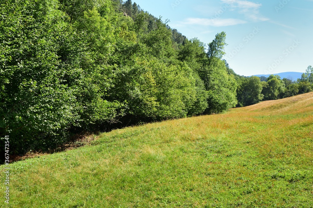 Prairie in the Caurel mountains in Galicia, Spain