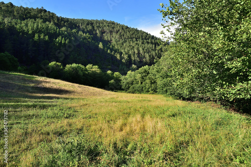 Prairie in the Caurel mountains in Galicia, Spain