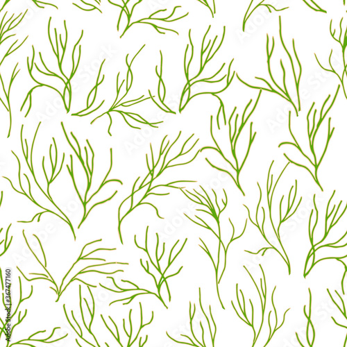 Fototapeta Naklejka Na Ścianę i Meble -  Plant seamless pattern similar to dill or seaweed drawn by hand. Isolated on white. Vector illustration