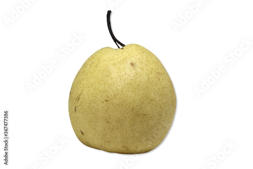 Yellow pear, rough skin, unattractive, often sold cheaply on a white background photo