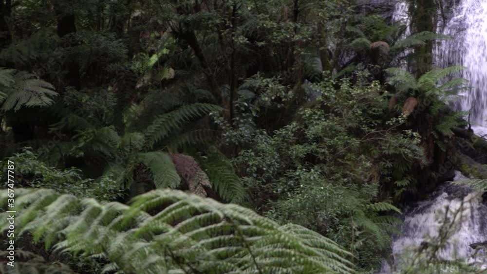Two waterfalls flowing in rainforest view from right to left