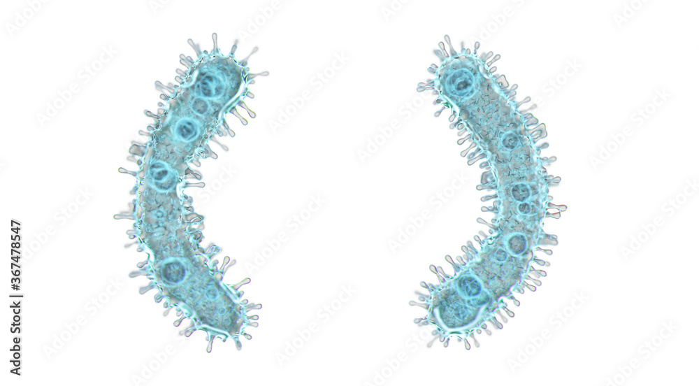 Alphabet made of virus isolated on white background. Symbol left and right parentheses. 3d rendering. Covid font