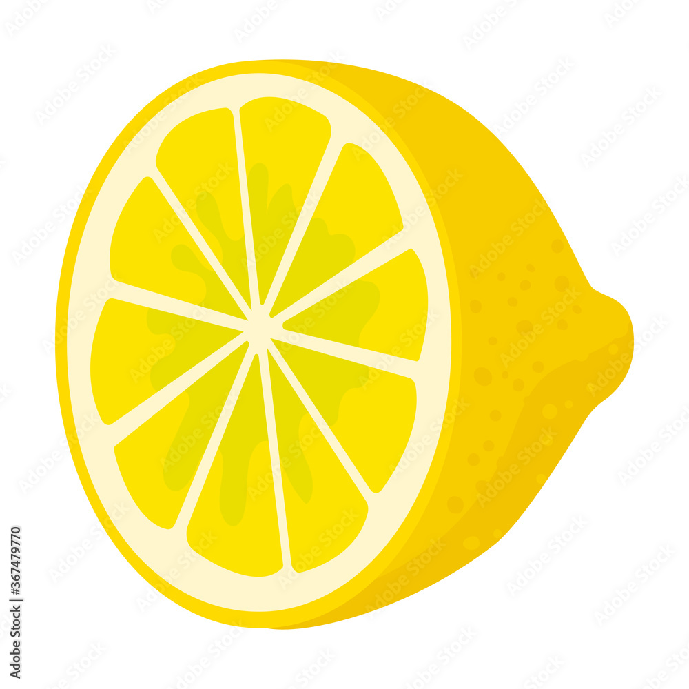 Slice of lemon vector icon.Cartoon vector icon isolated on white background slice of lemon. Slice of lemon vector icon.Cartoon vector icon isolated on white background slice of lemon.