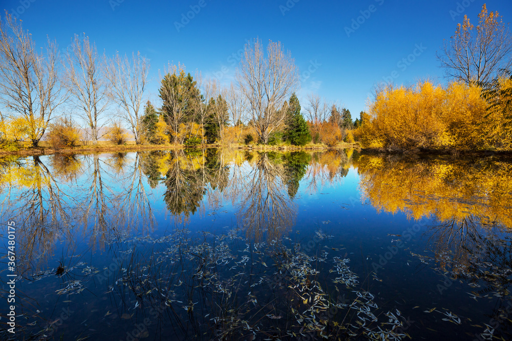 Autumn lake