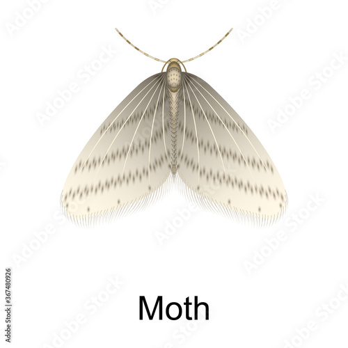 Beetle moth vector icon.Realistic vector icon isolated on white background beetle moth.