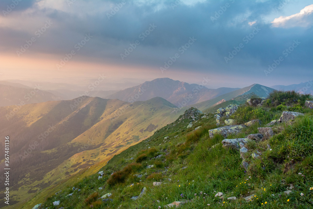 Obraz premium Tatry Krajobraz i Zwierzęta