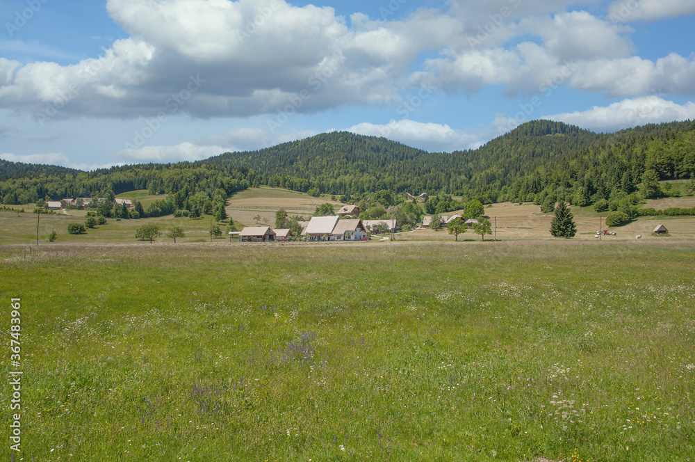 Pokljuka Plateau,Triglav National Park,Slowenien