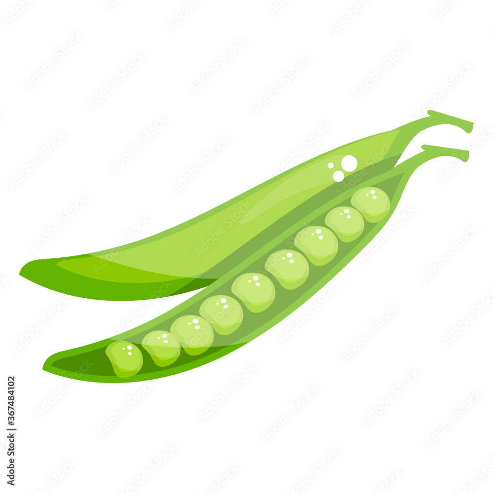 Small spherical seed pod with peas inside it
Small spherical seed pod with peas inside it