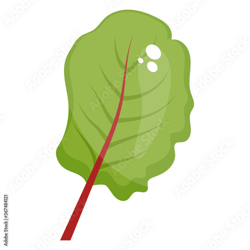 
Fresh baby spinach leaf, glyph icon of healthy food 
