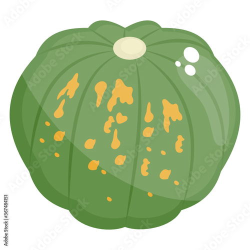 
A large fruit. pumpkin fruit but often referred to as vegetables
