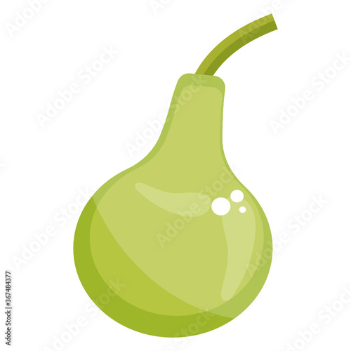 
Round gourd, healthy vegetable icon design 
