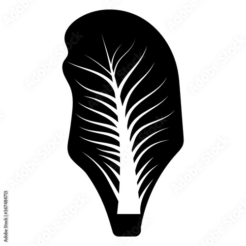 
Fresh baby french spinach leaf, glyph icon of healthy food 
