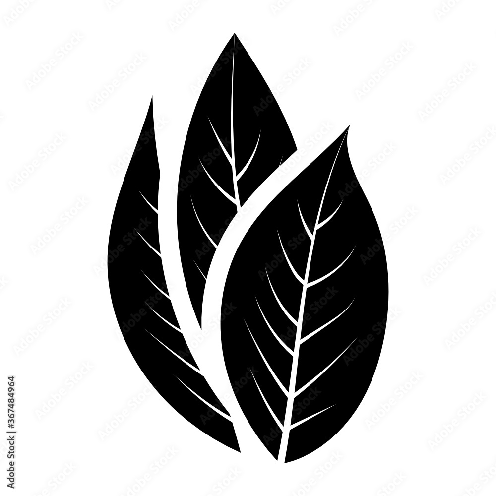 Birch leaves design in glyph vector
Birch leaves design in glyph vector