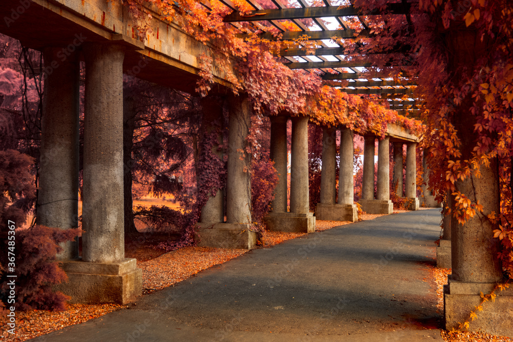 Concrete columns supporting ivy blush. Full spectrum abstract vision. Concrete columns supporting ivy blush. Full spectrum abstract vision.