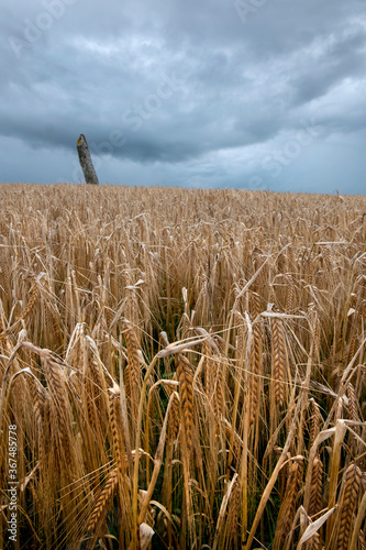 Cú Chulainn Standing stone in Co. Louth. Ireland