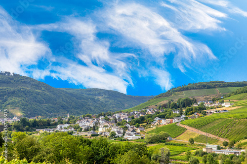 view to village of Zell at the Moselle valley © travelview